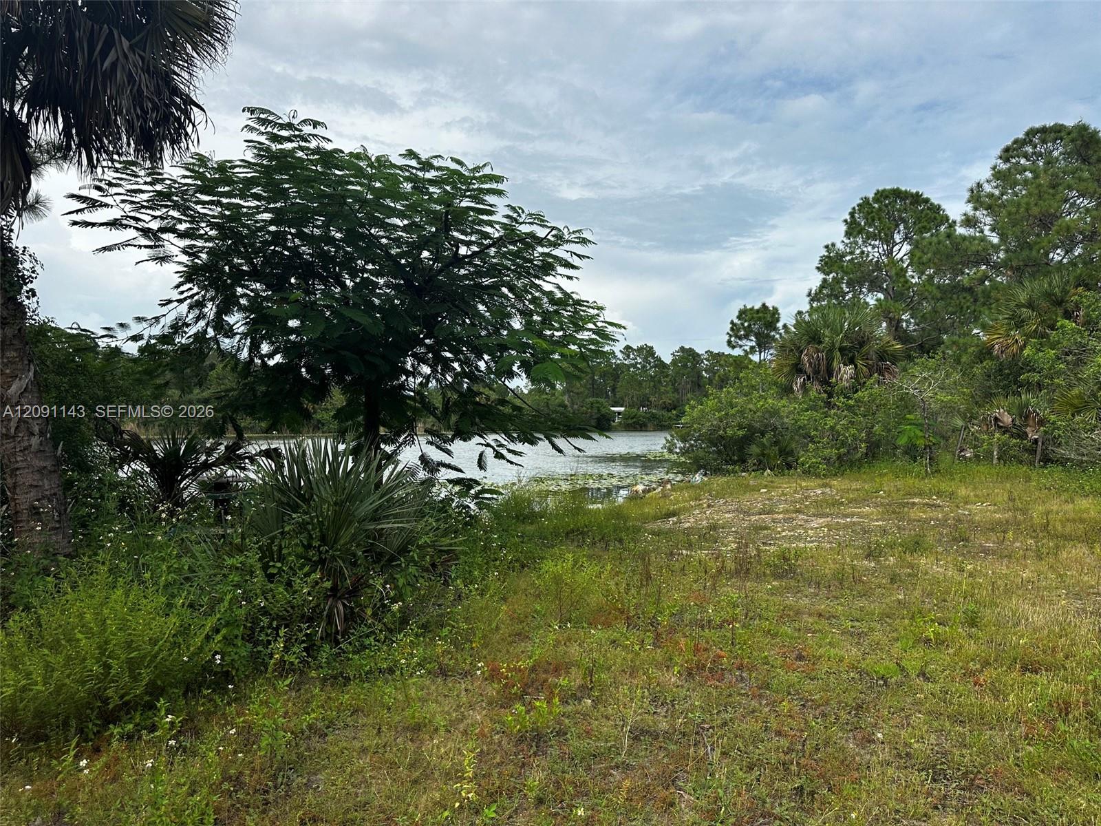 123 Pine Lake Avenue Property Photo 18