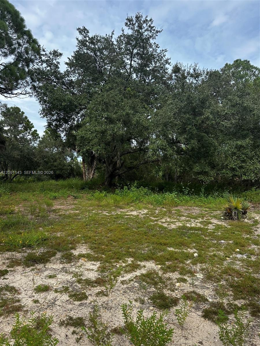 123 Pine Lake Avenue Property Photo 21