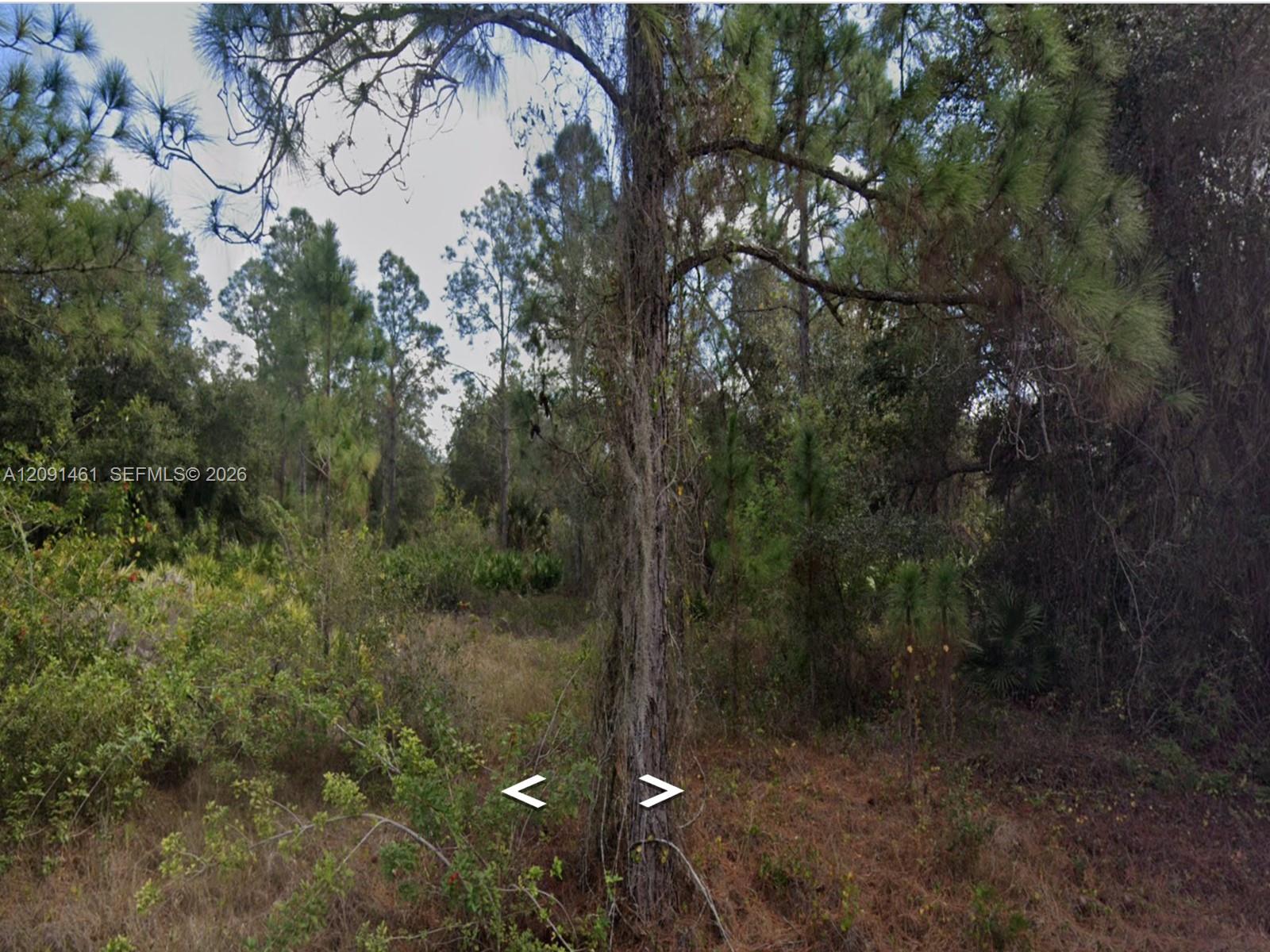 1312 Irving Avenue Property Photo 2