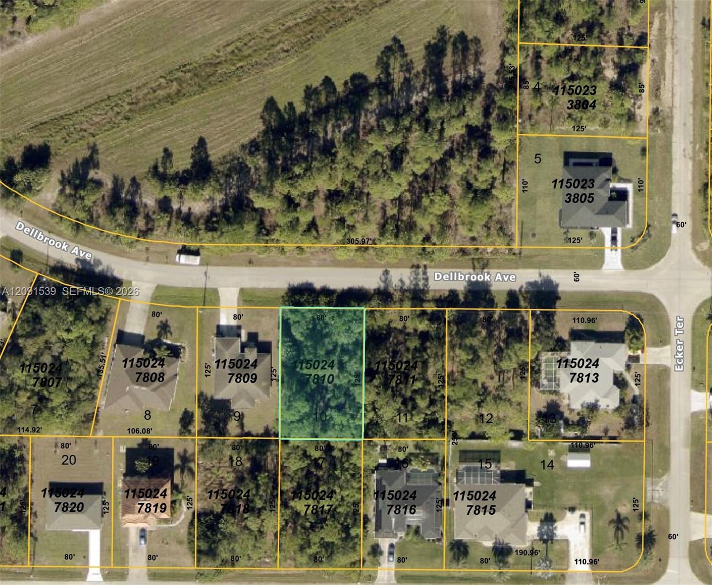 00 Dellbrook Avenue Property Photo 1