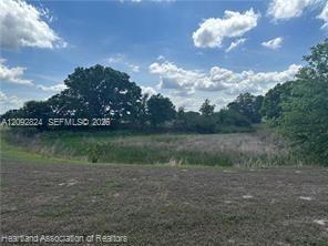 1288 Blue Heron Drive Property Photo 9