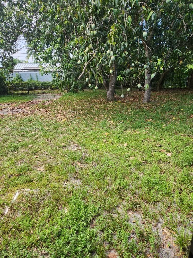 915 Dunad Avenue Property Photo 2