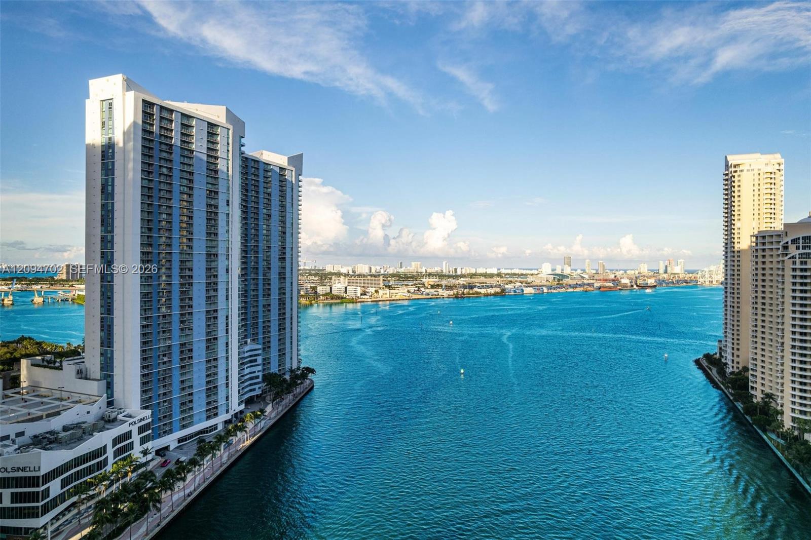 325 S Biscayne Boulevard 3015 Property Photo 17