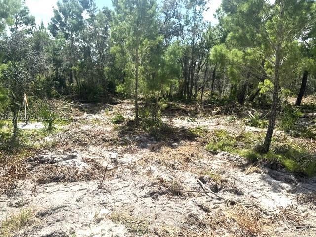 206 Oriole Avenue Property Photo 1
