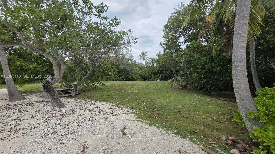 54 Sunset Road Property Photo 14