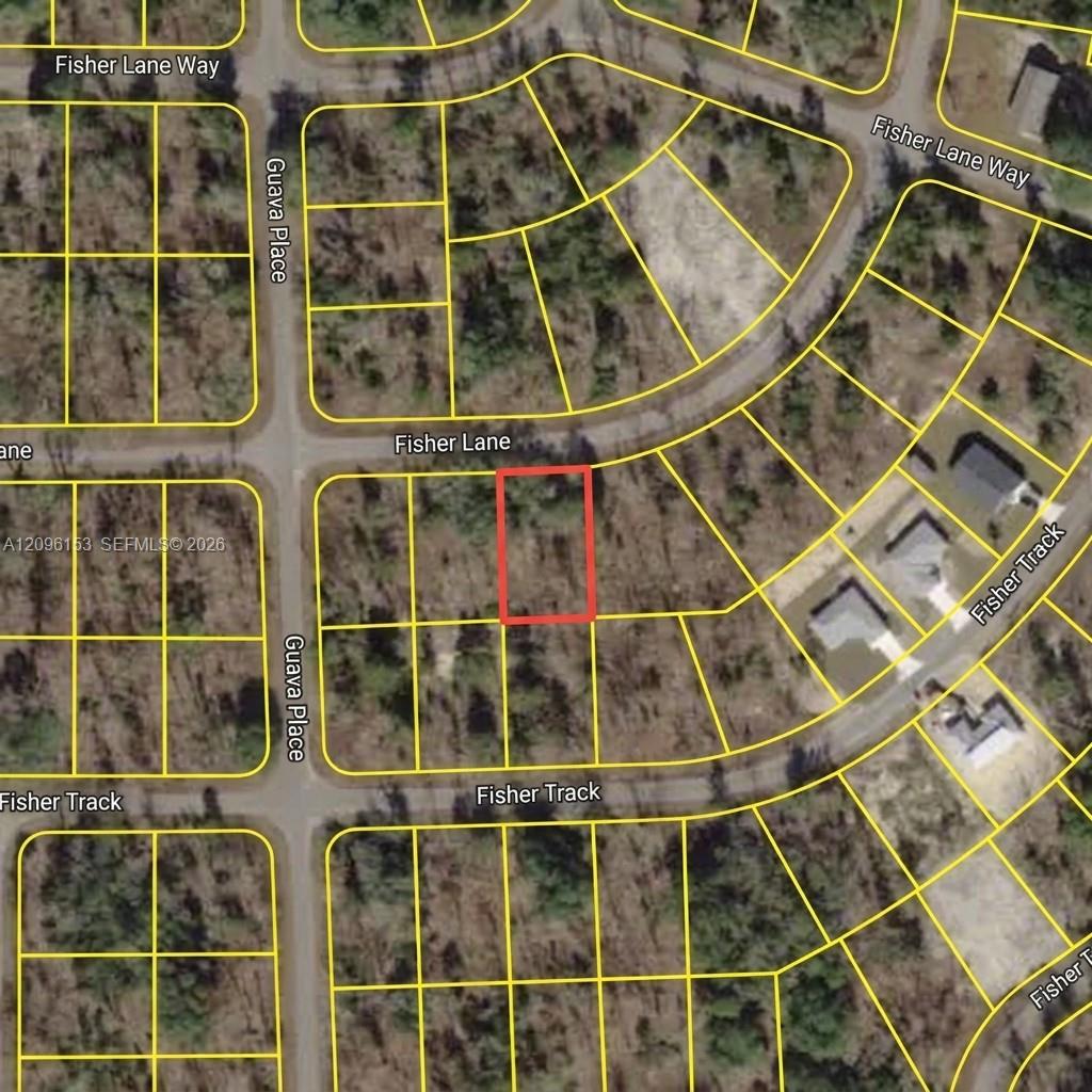 Undetermined Undetermined Ocklawaha Property Photo 1