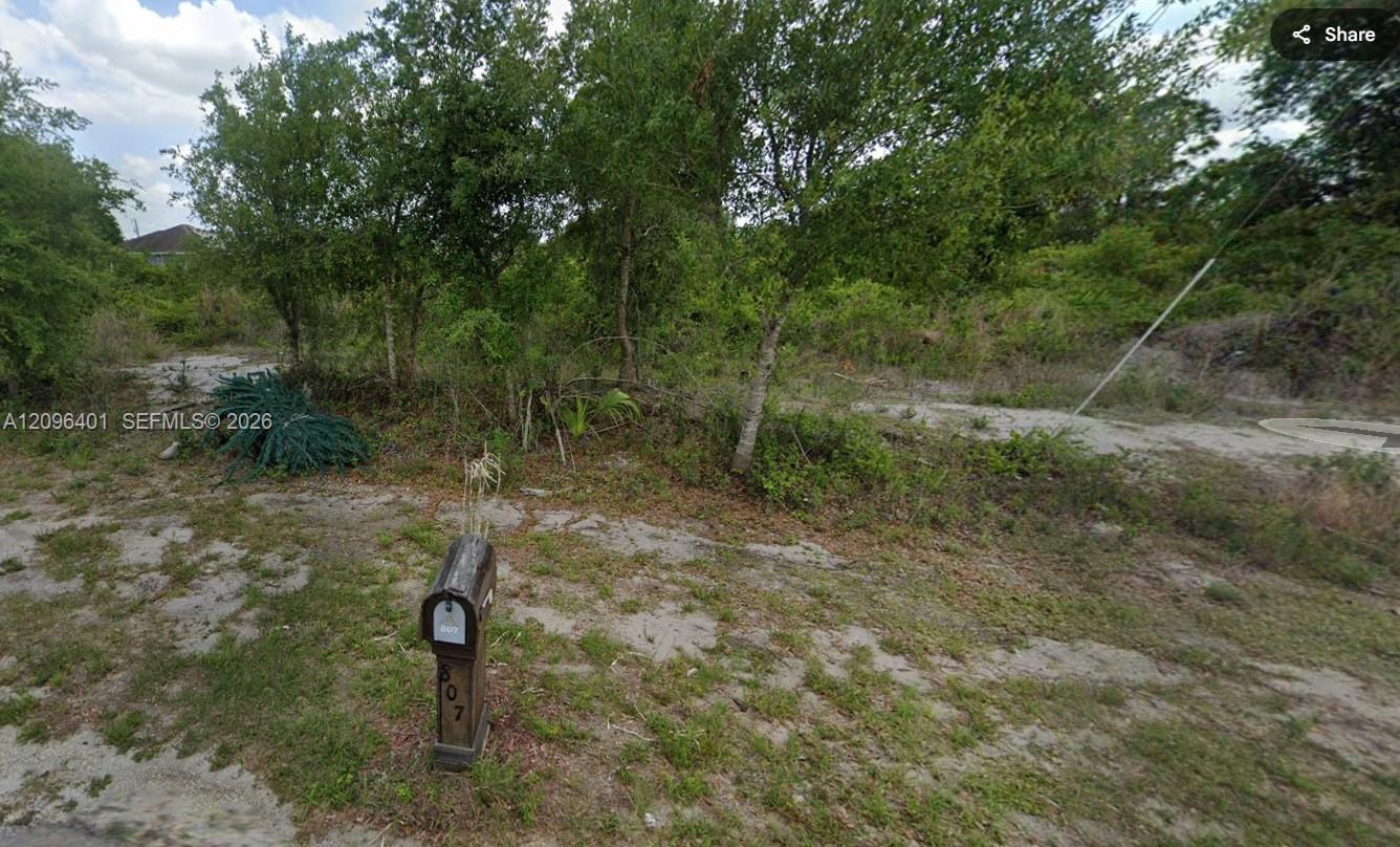 808 Fredeerick Reid Street E Property Photo 5