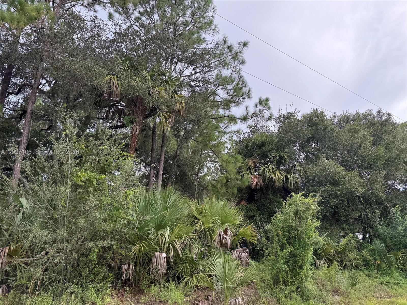 530 S Granja Street Property Photo 11