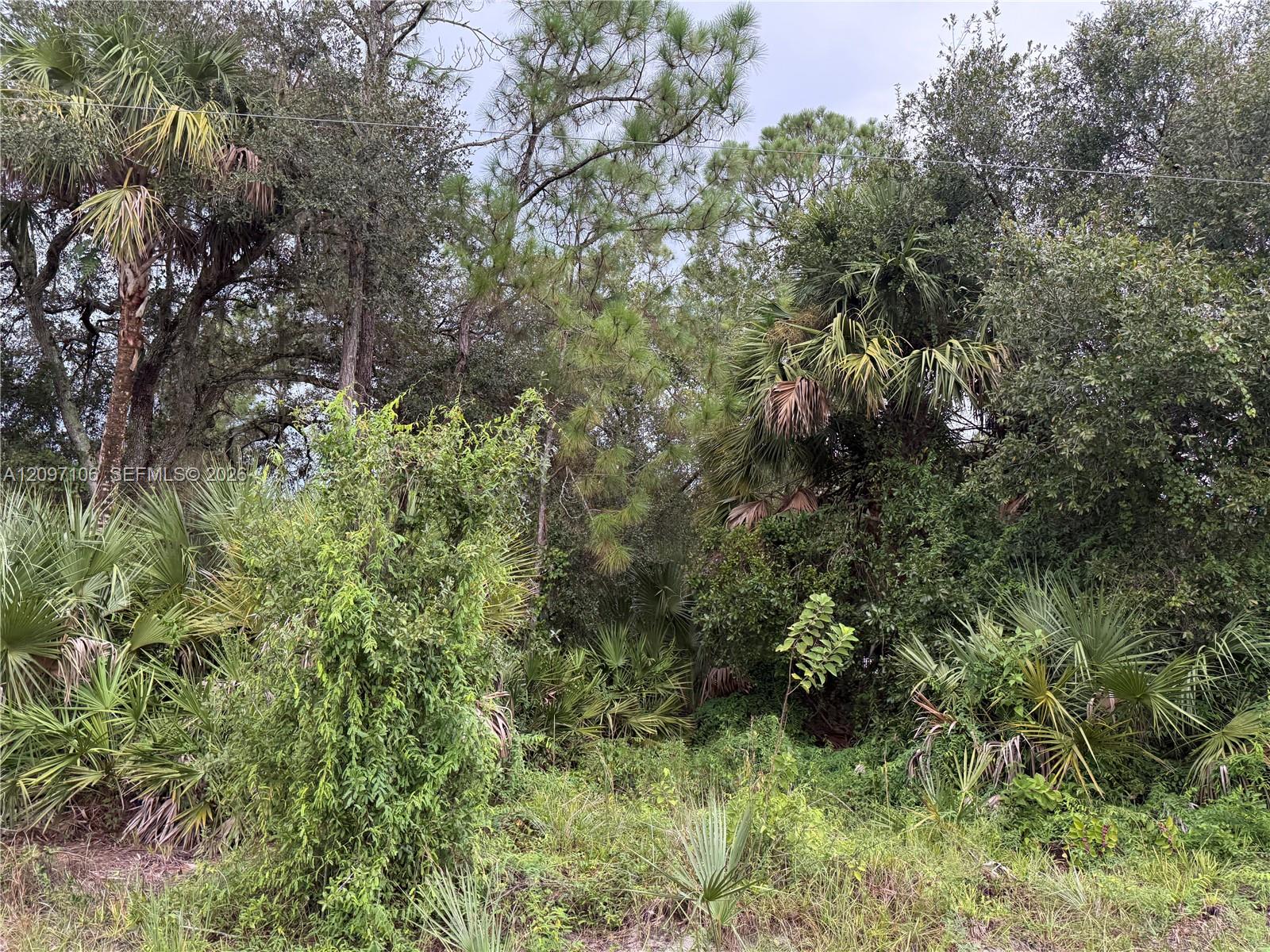 530 S Granja Street Property Photo 12