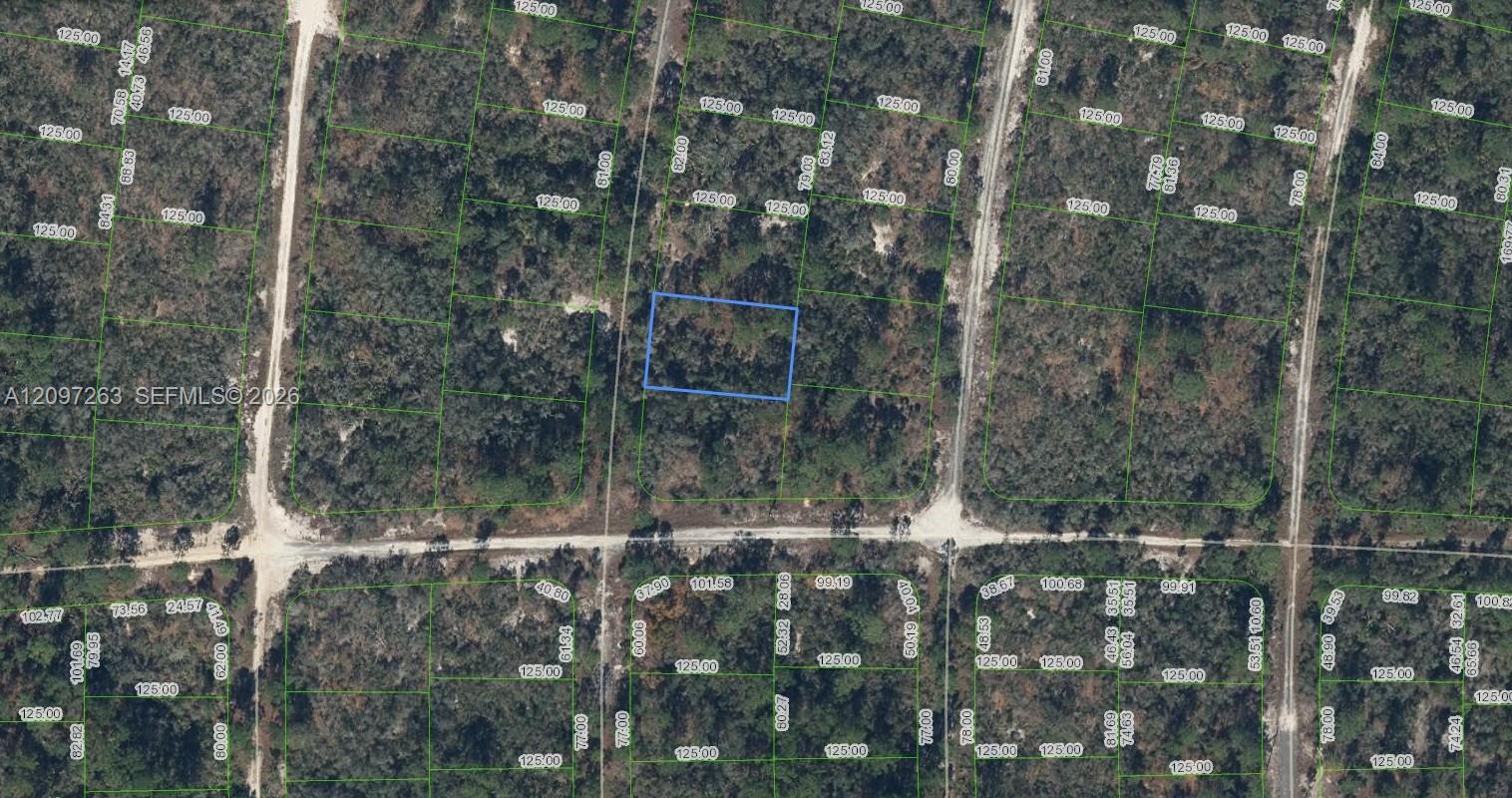 305 Blue Heaven Drive Property Photo 1