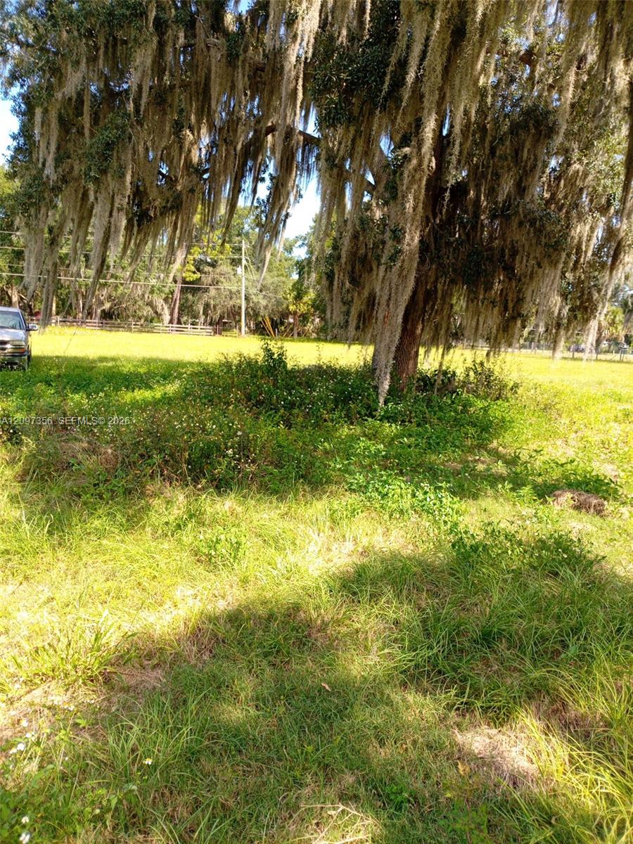 0000 Hickory Hollow Road Property Photo 6