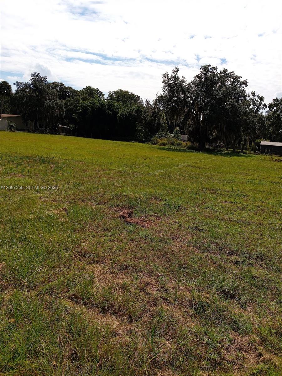 0000 Hickory Hollow Road Property Photo 18