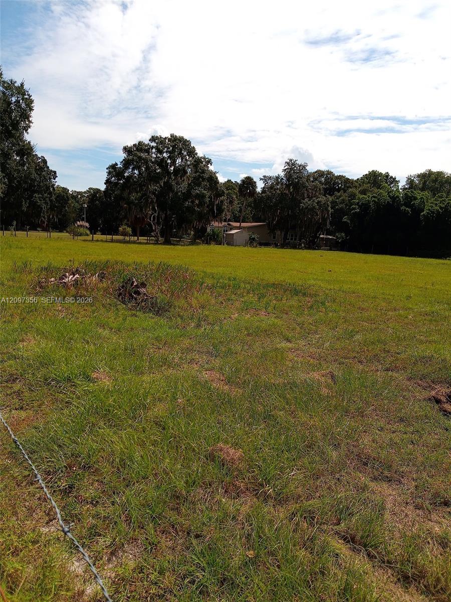 0000 Hickory Hollow Road Property Photo 19