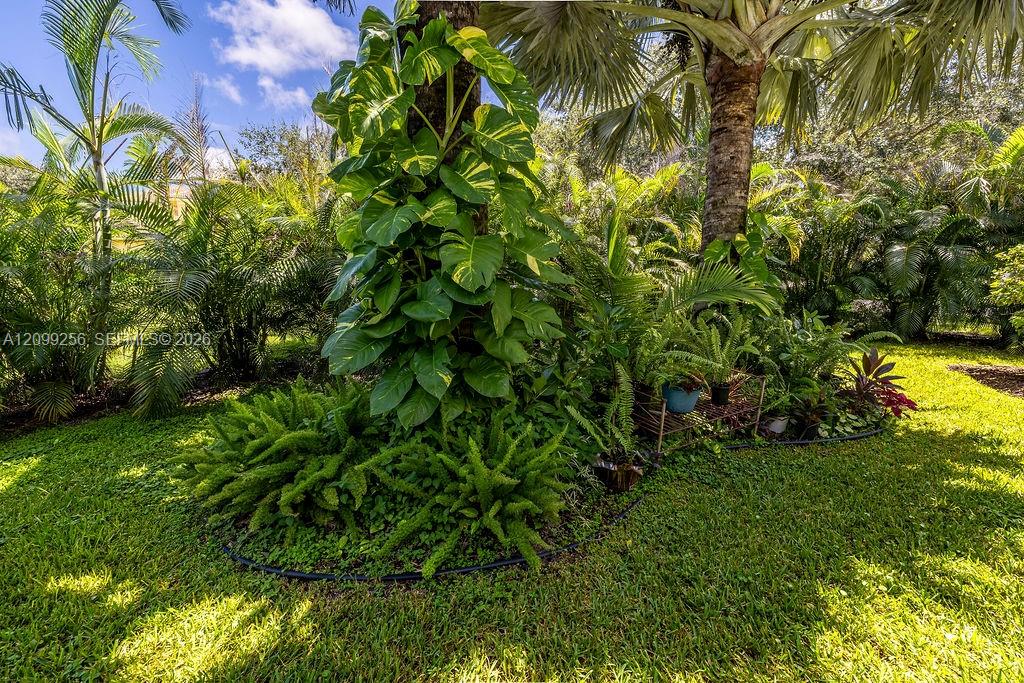 6116 57th Court Property Photo 47