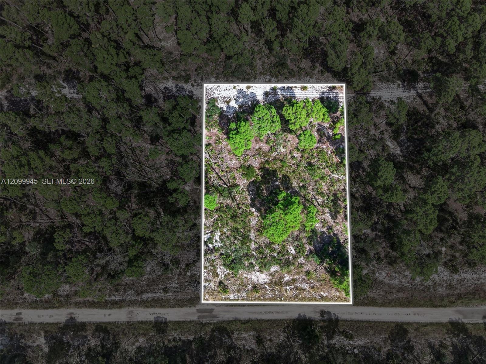 431 Hummingbird Avenue Property Photo 1