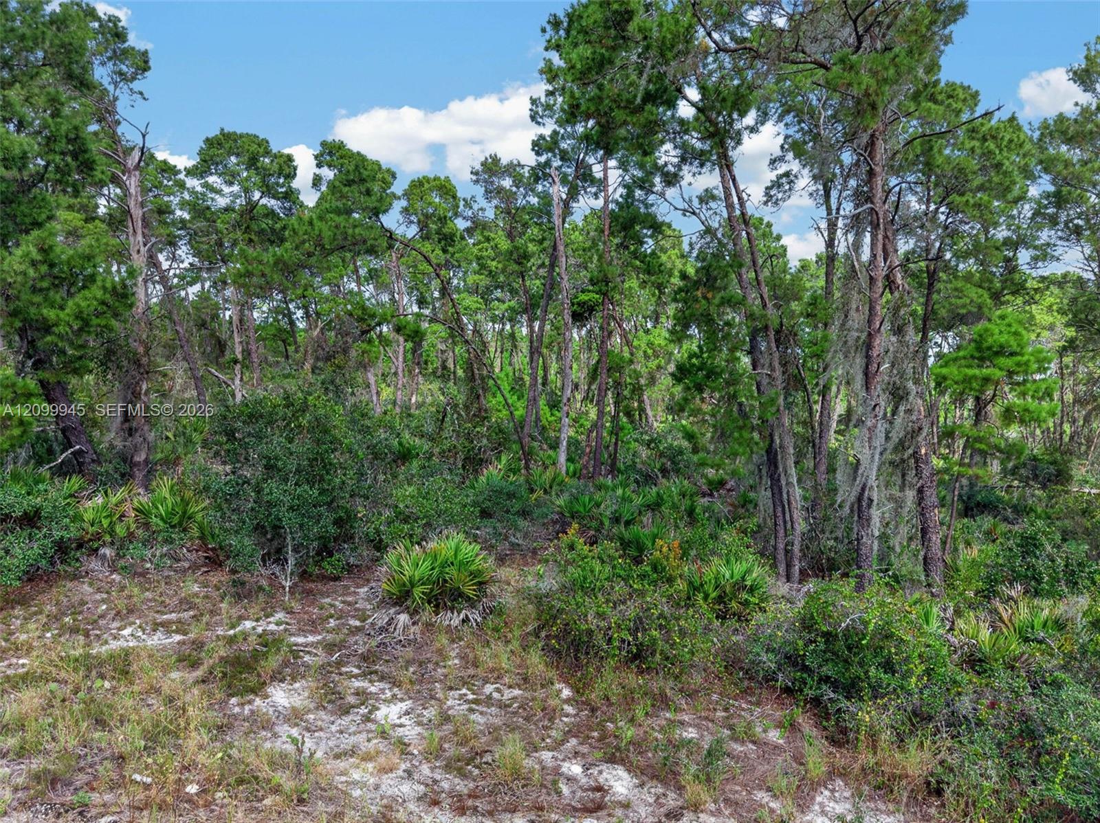 431 Hummingbird Avenue Property Photo 6
