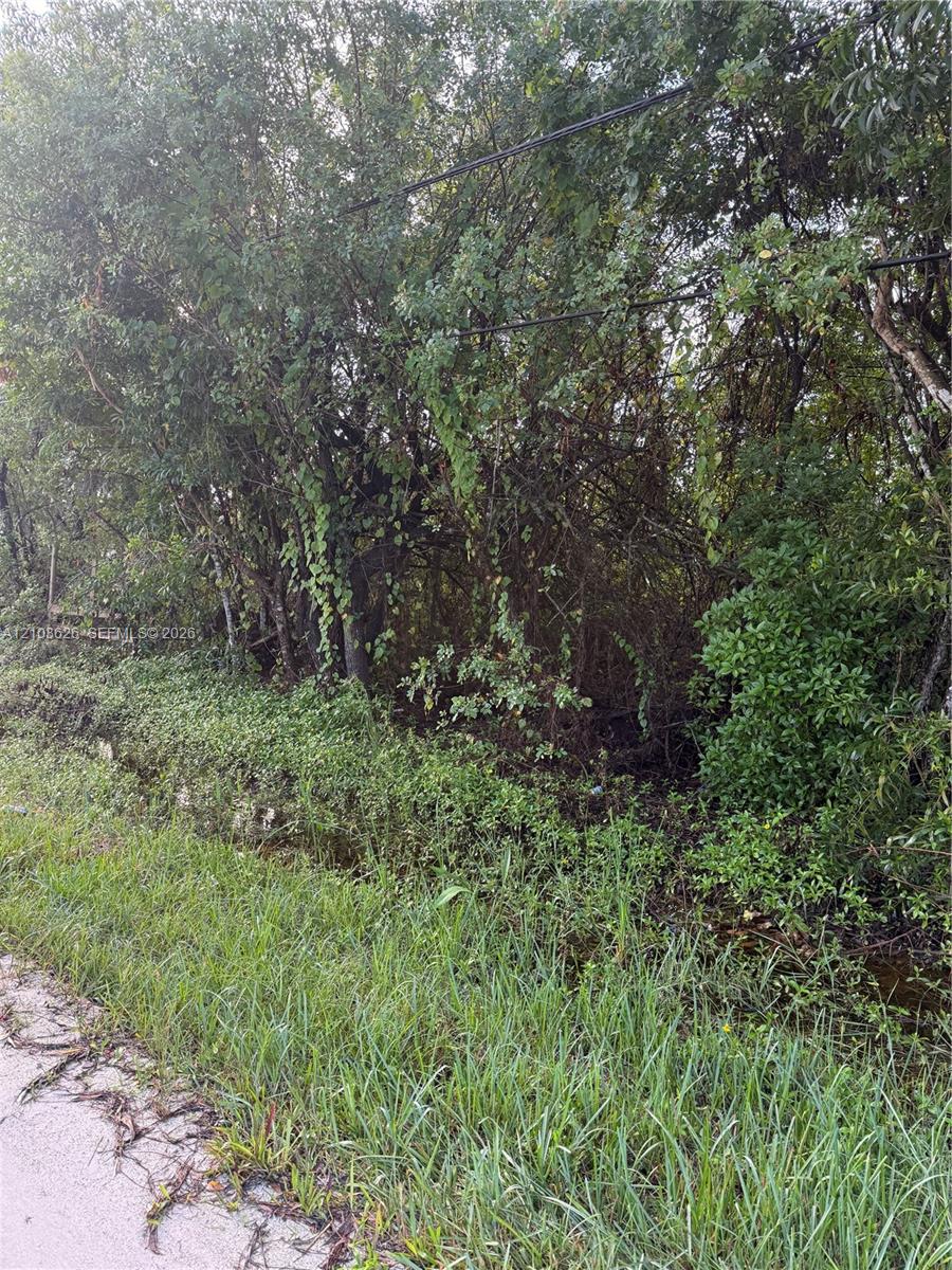 V-197 N 86th Road N Property Photo 3