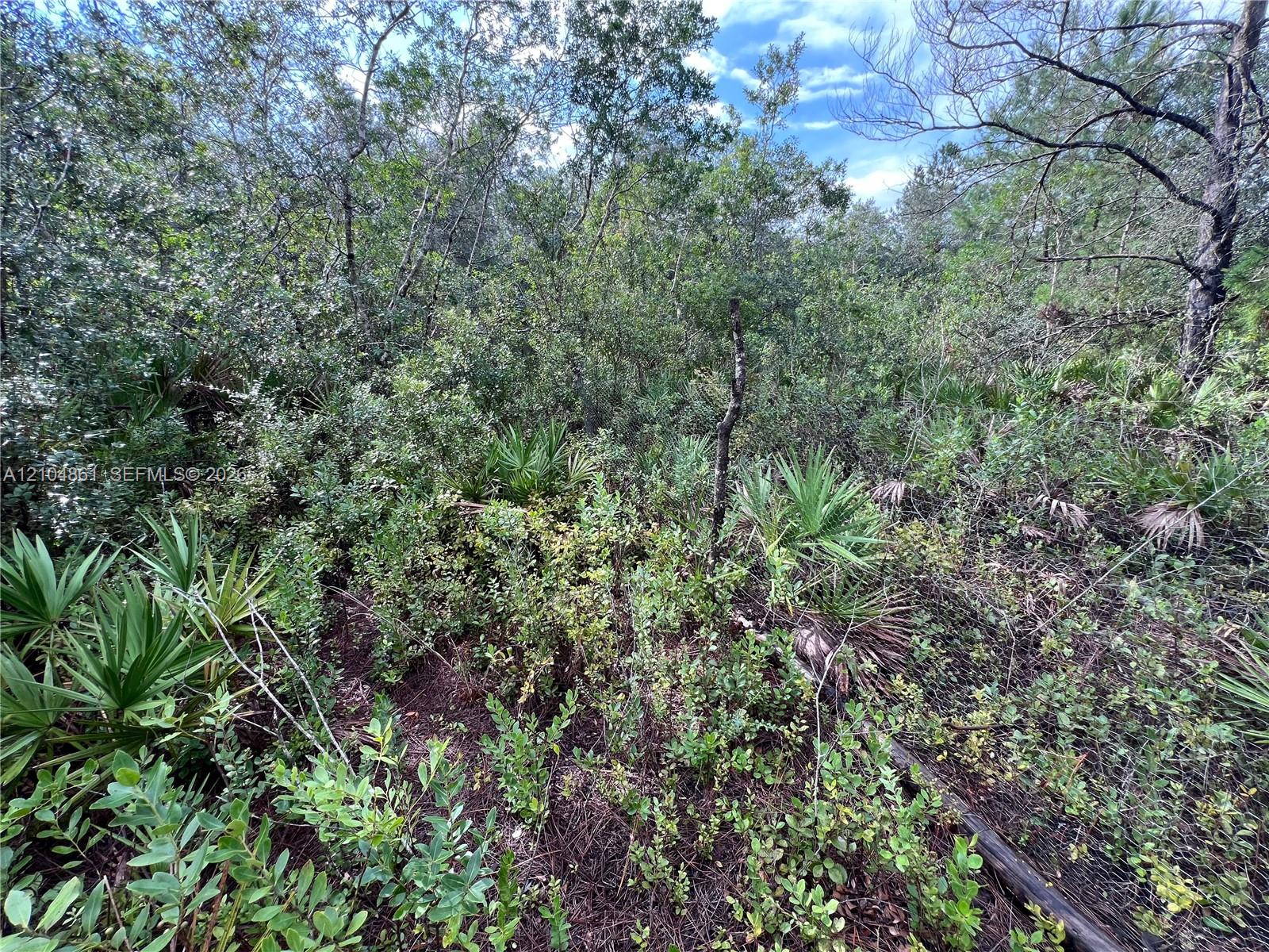 604 Del Monaco Avenue Property Photo 59