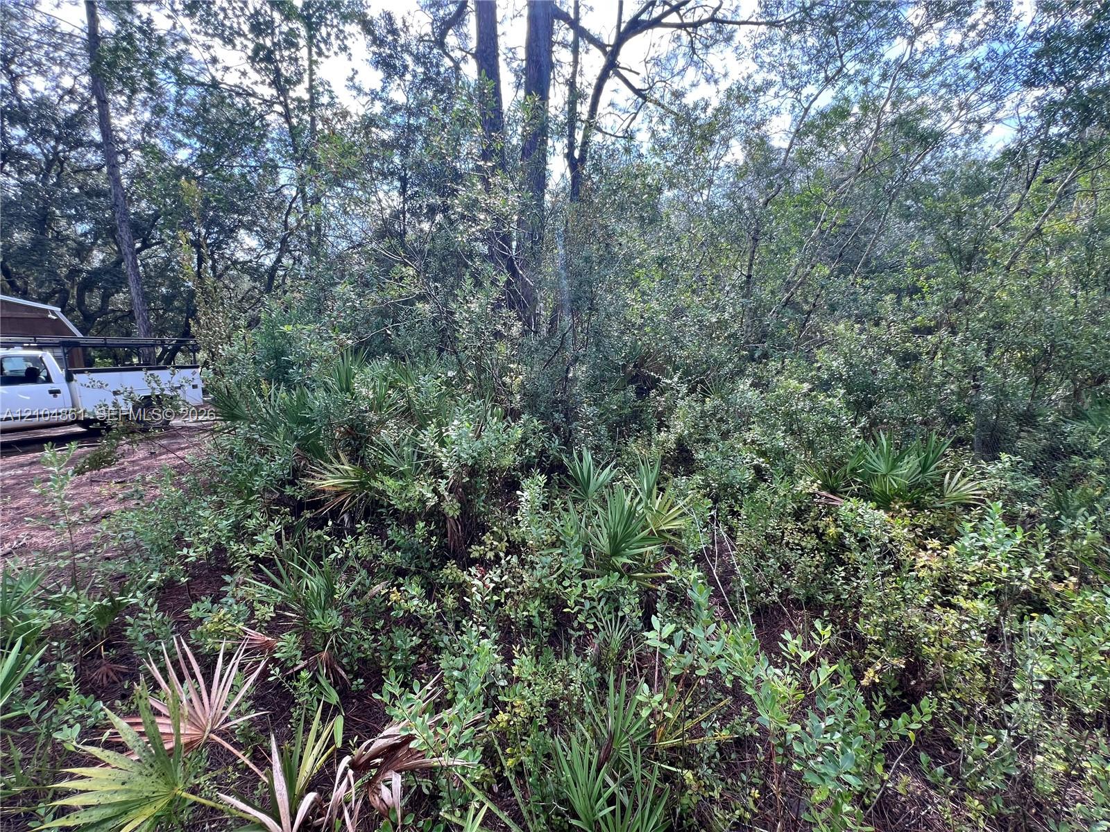 604 Del Monaco Avenue Property Photo 60