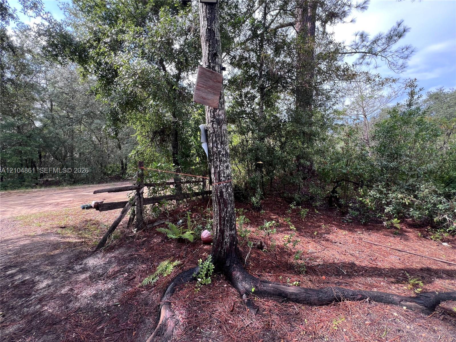 604 Del Monaco Avenue Property Photo 67