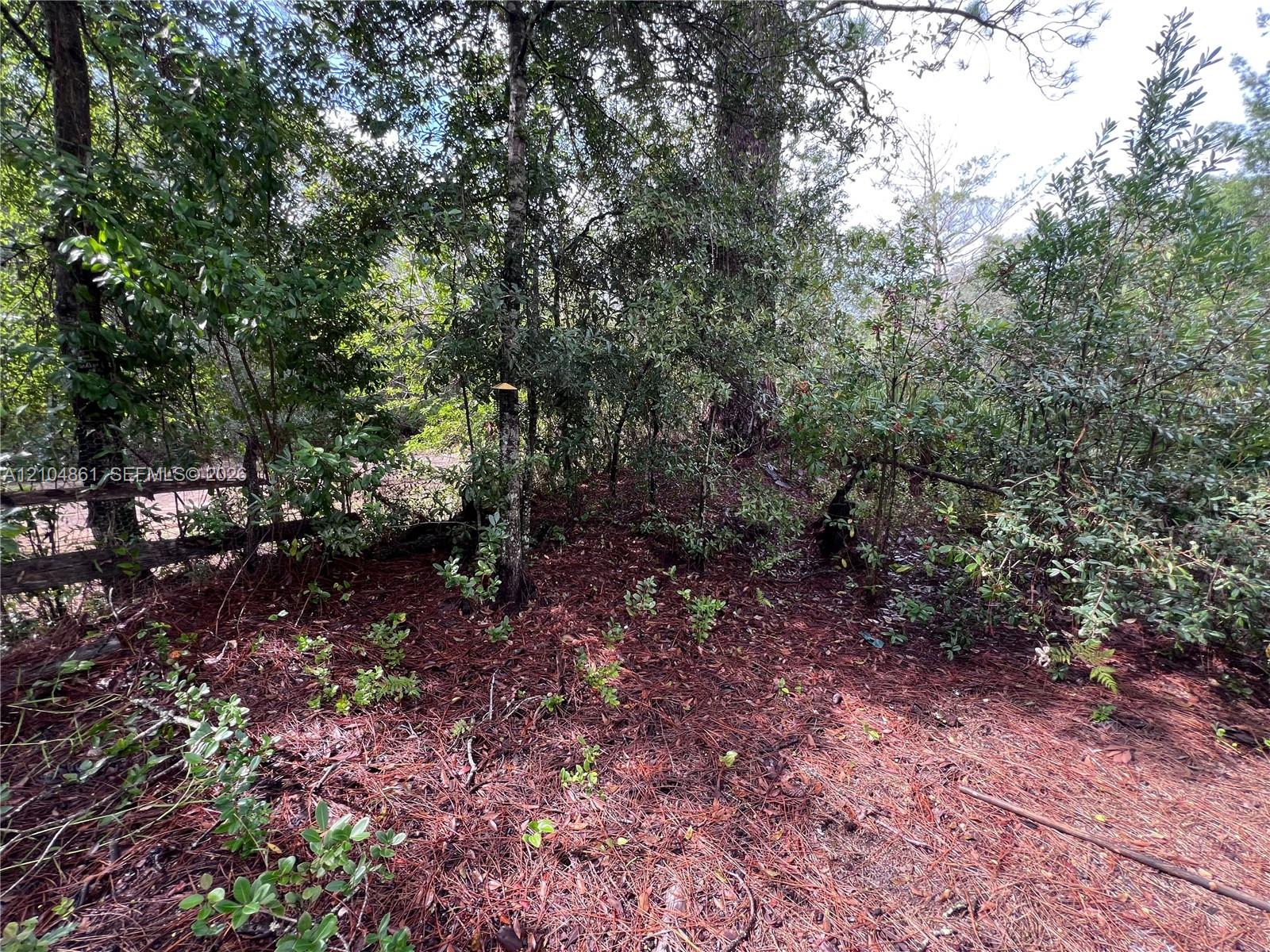 604 Del Monaco Avenue Property Photo 70