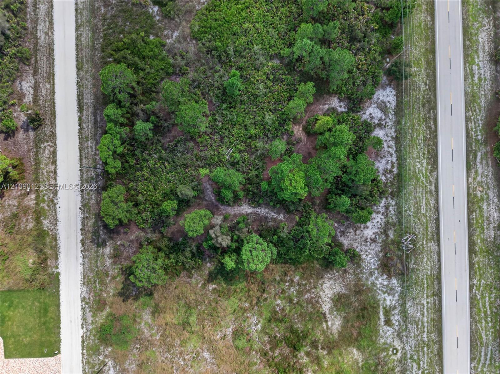 846 Burns Avenue S Property Photo 5
