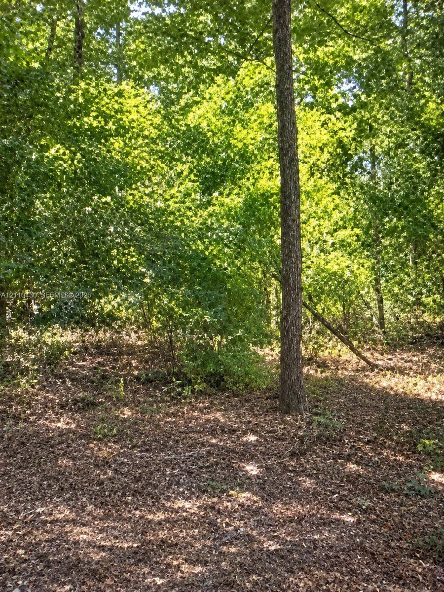 10860 N Mataro Avenue Property Photo 1