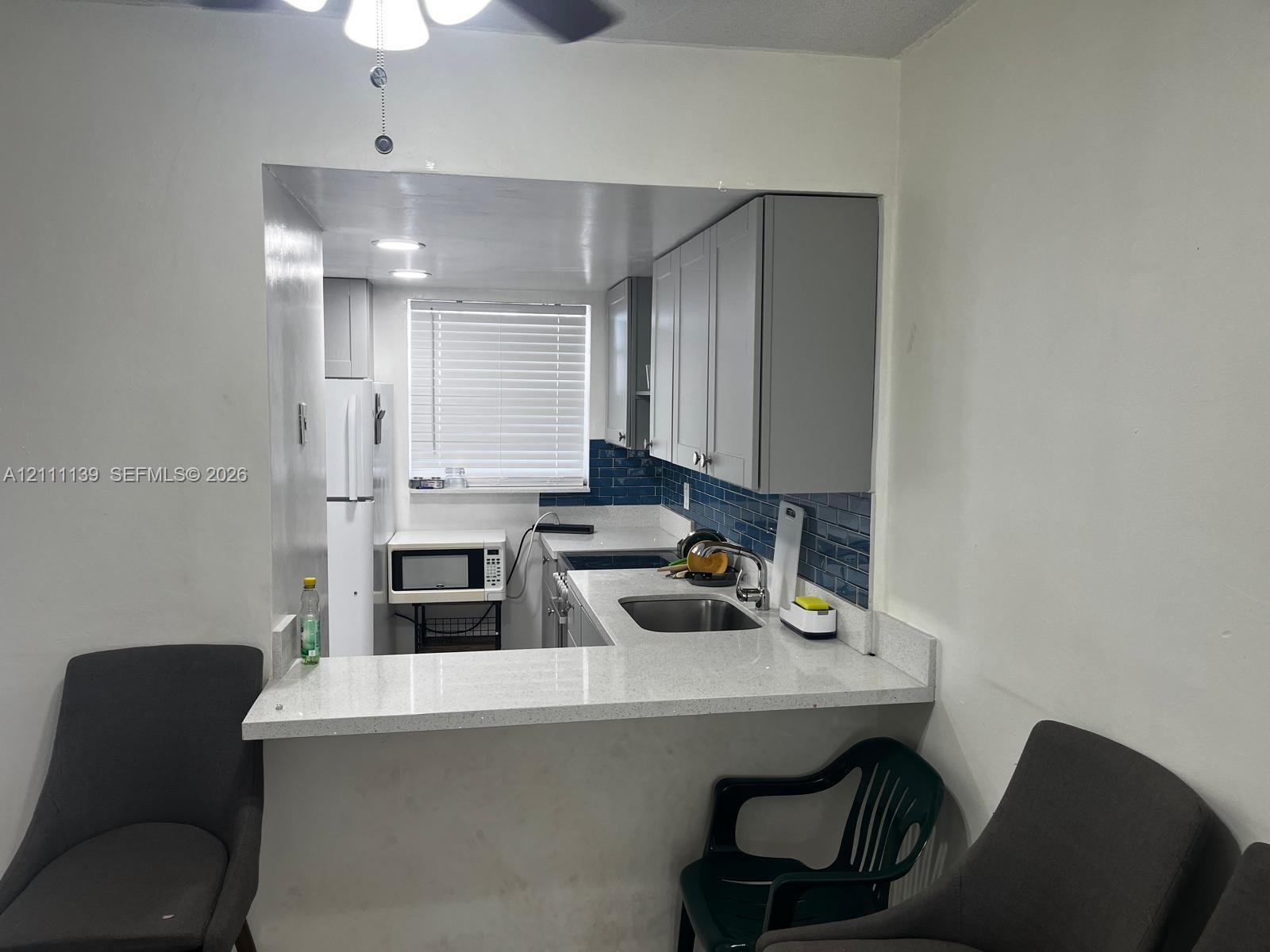 1333 E Hallandale Beach Boulevard 236 Property Photo 13