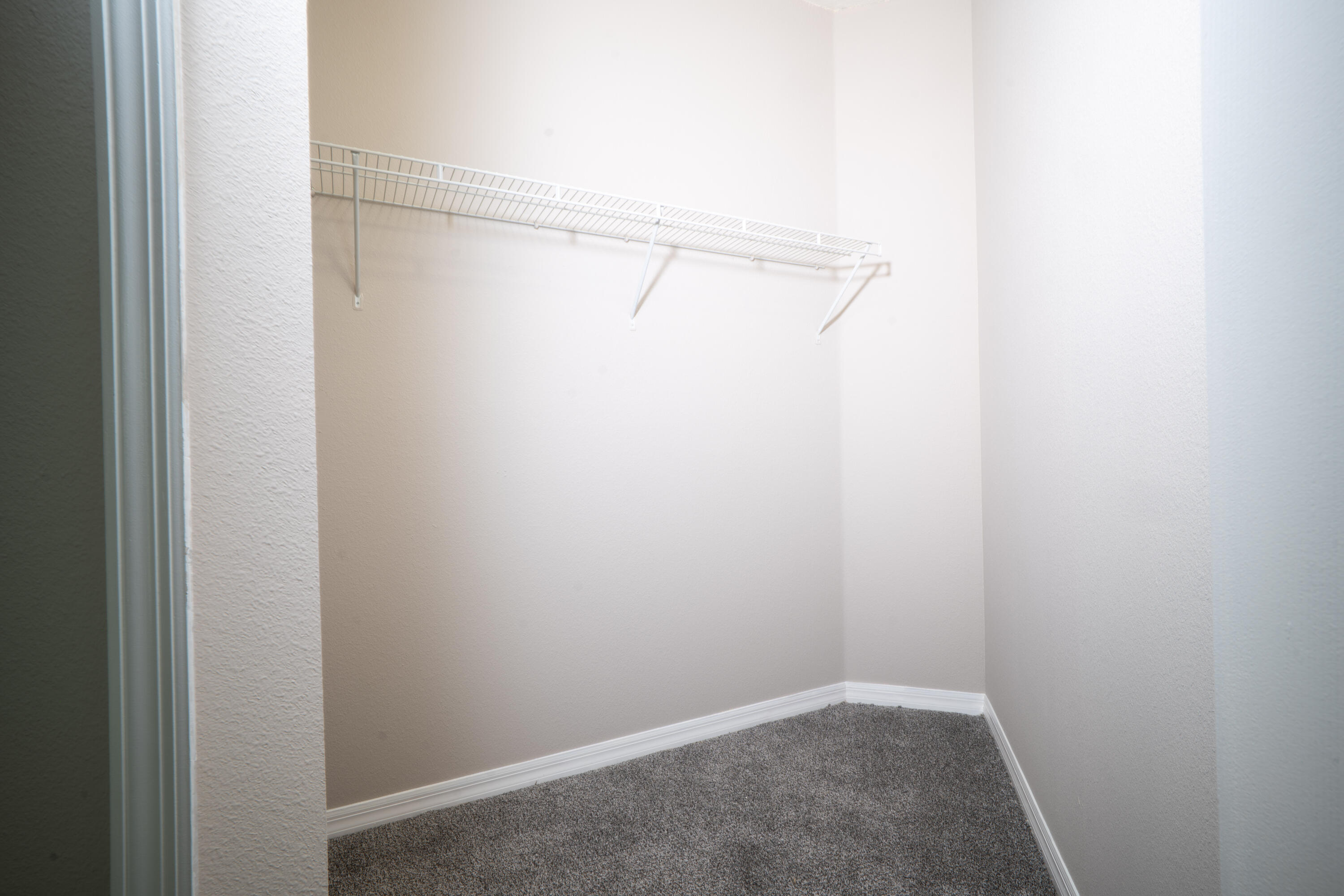 8809 Arrabida Lane Property Photo 17