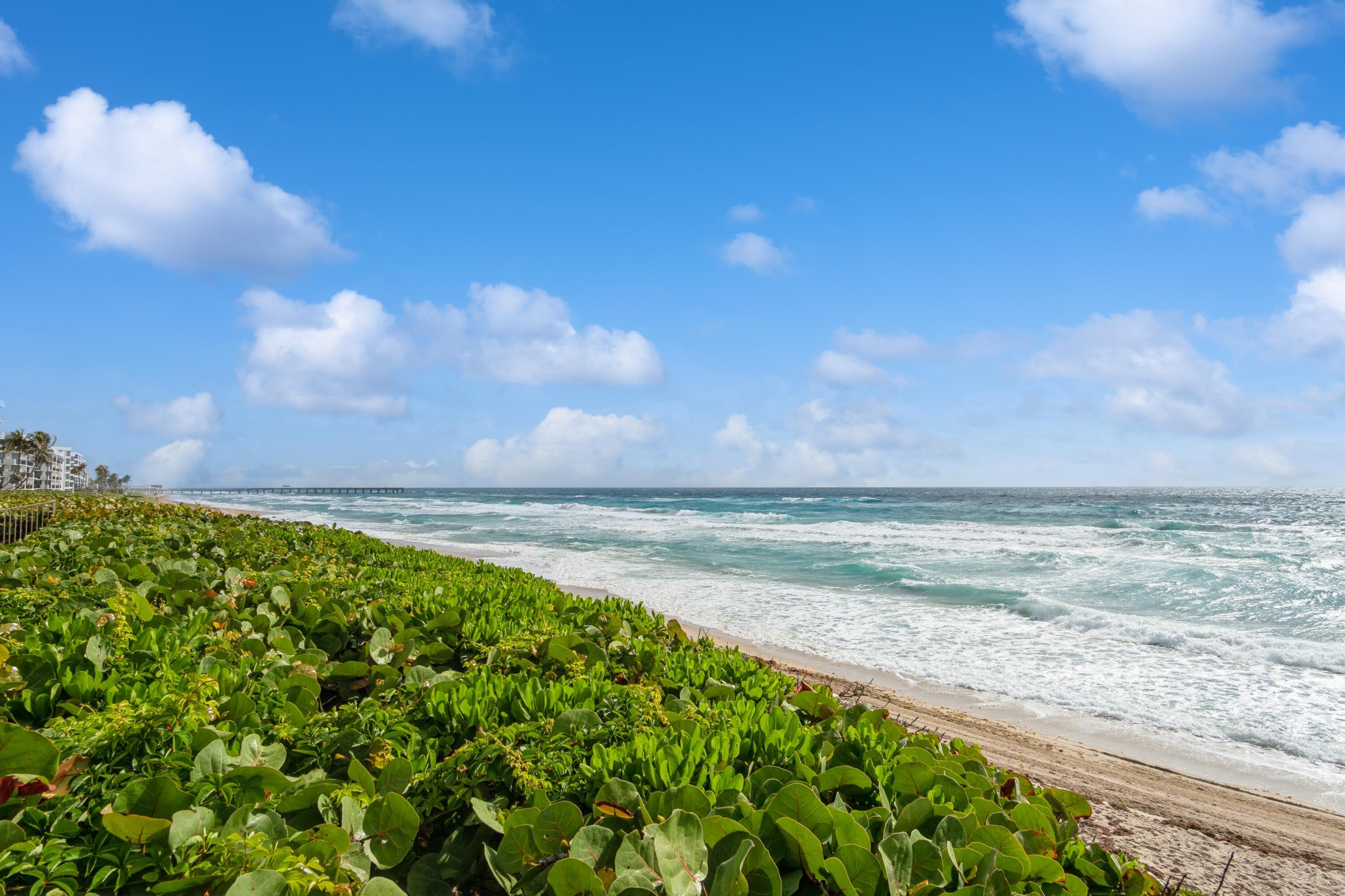 3200 S Ocean Boulevard B104 Property Photo 2