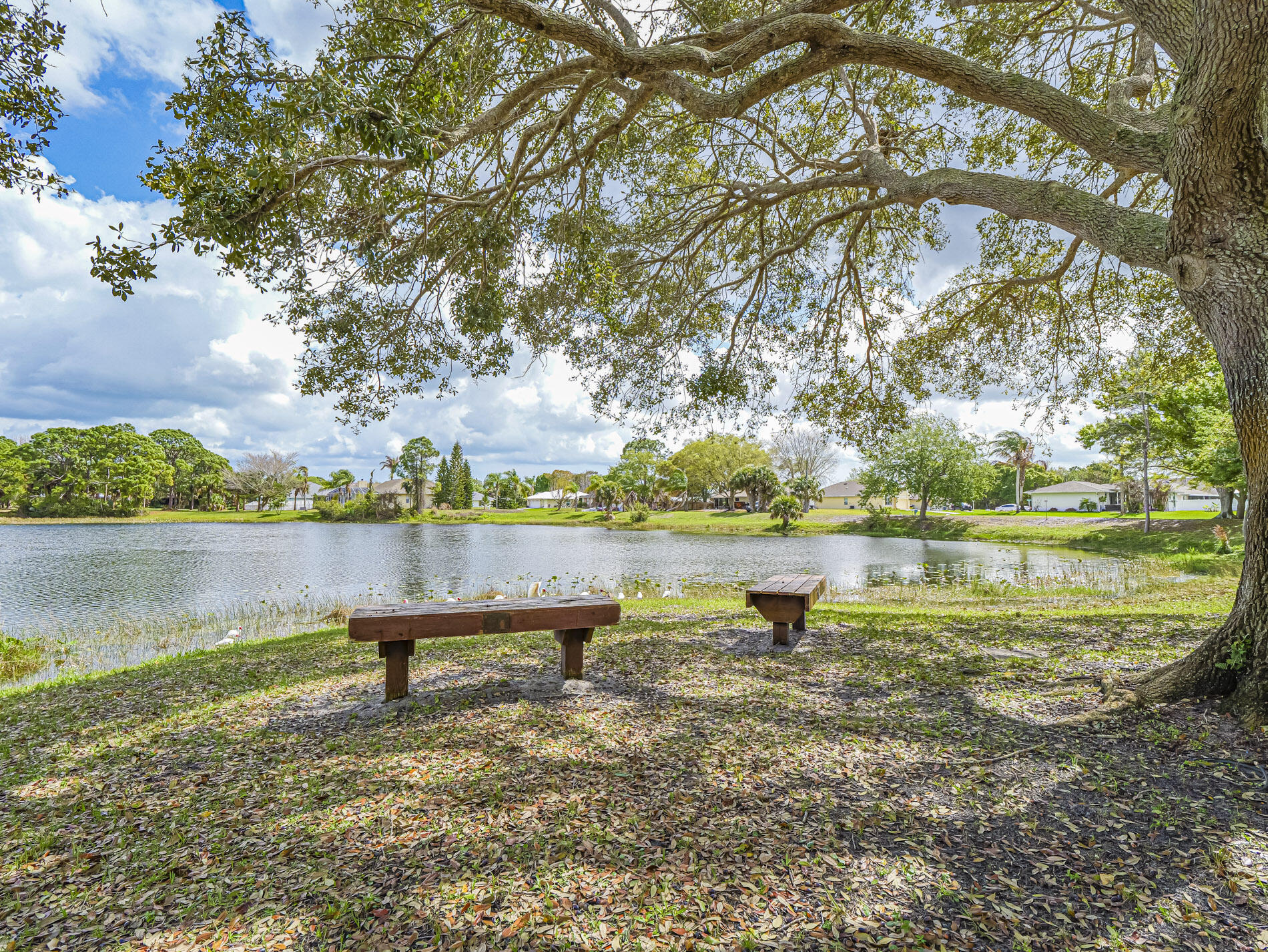573 Autumn Terrace Property Photo 40