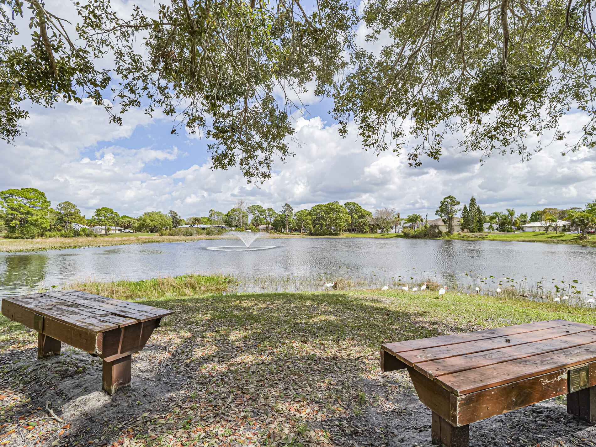 573 Autumn Terrace Property Photo 41