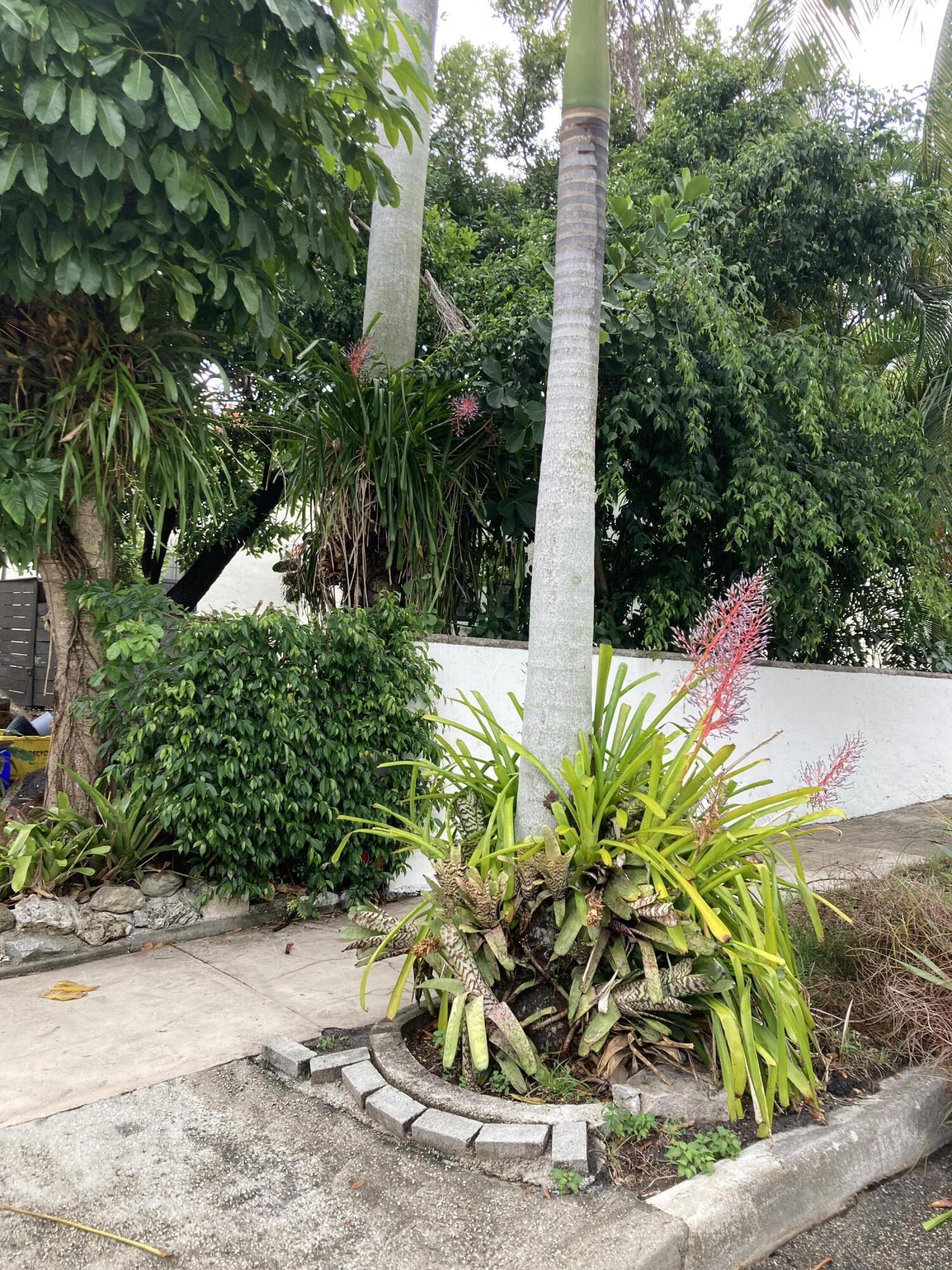 824 35th Street Property Photo 13
