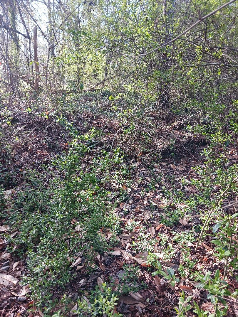 000 158 Lane Property Photo 1