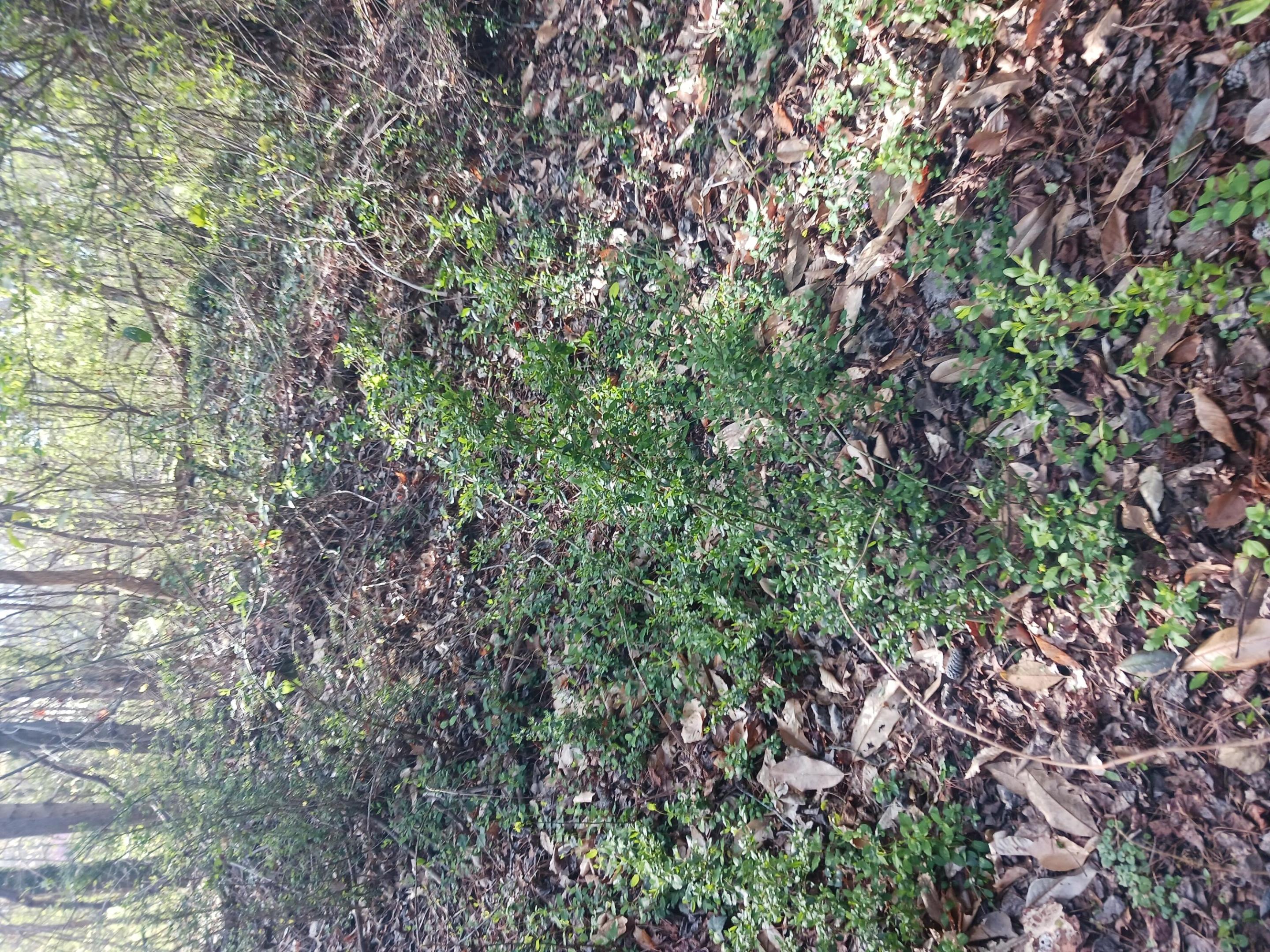 000 158 Lane Property Photo 3