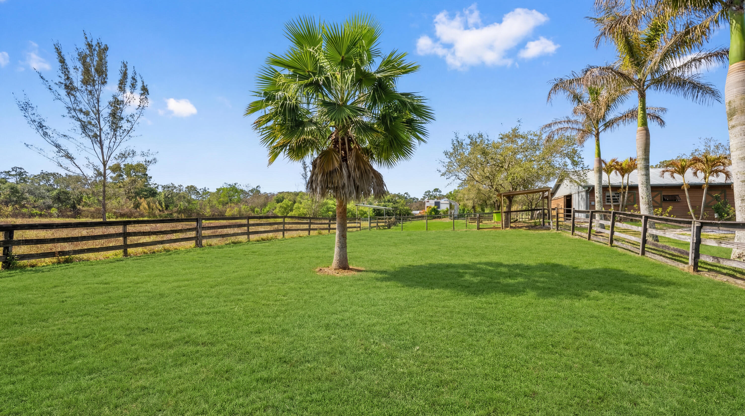 12440 Tangerine Boulevard Property Photo 19