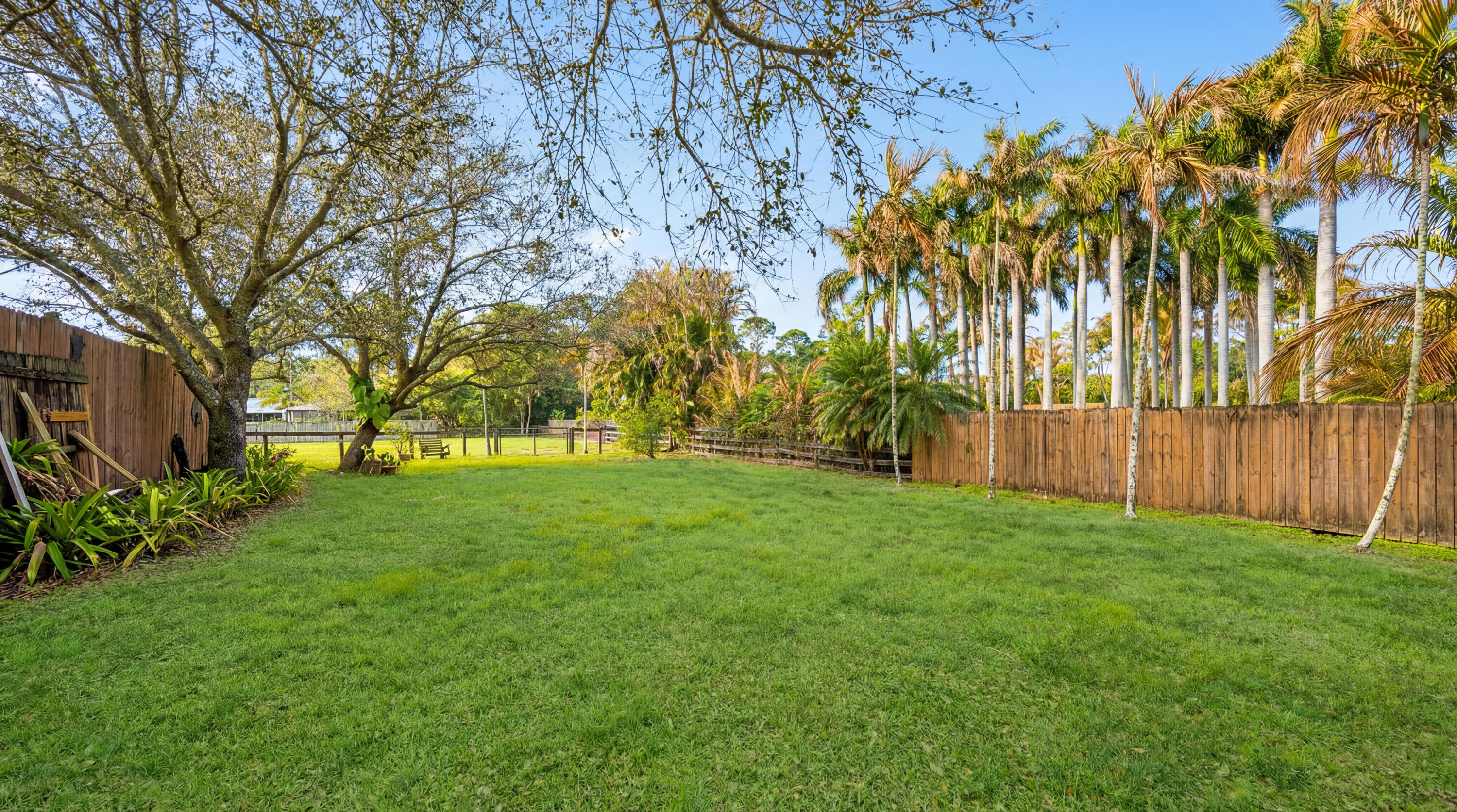 12440 Tangerine Boulevard Property Photo 24