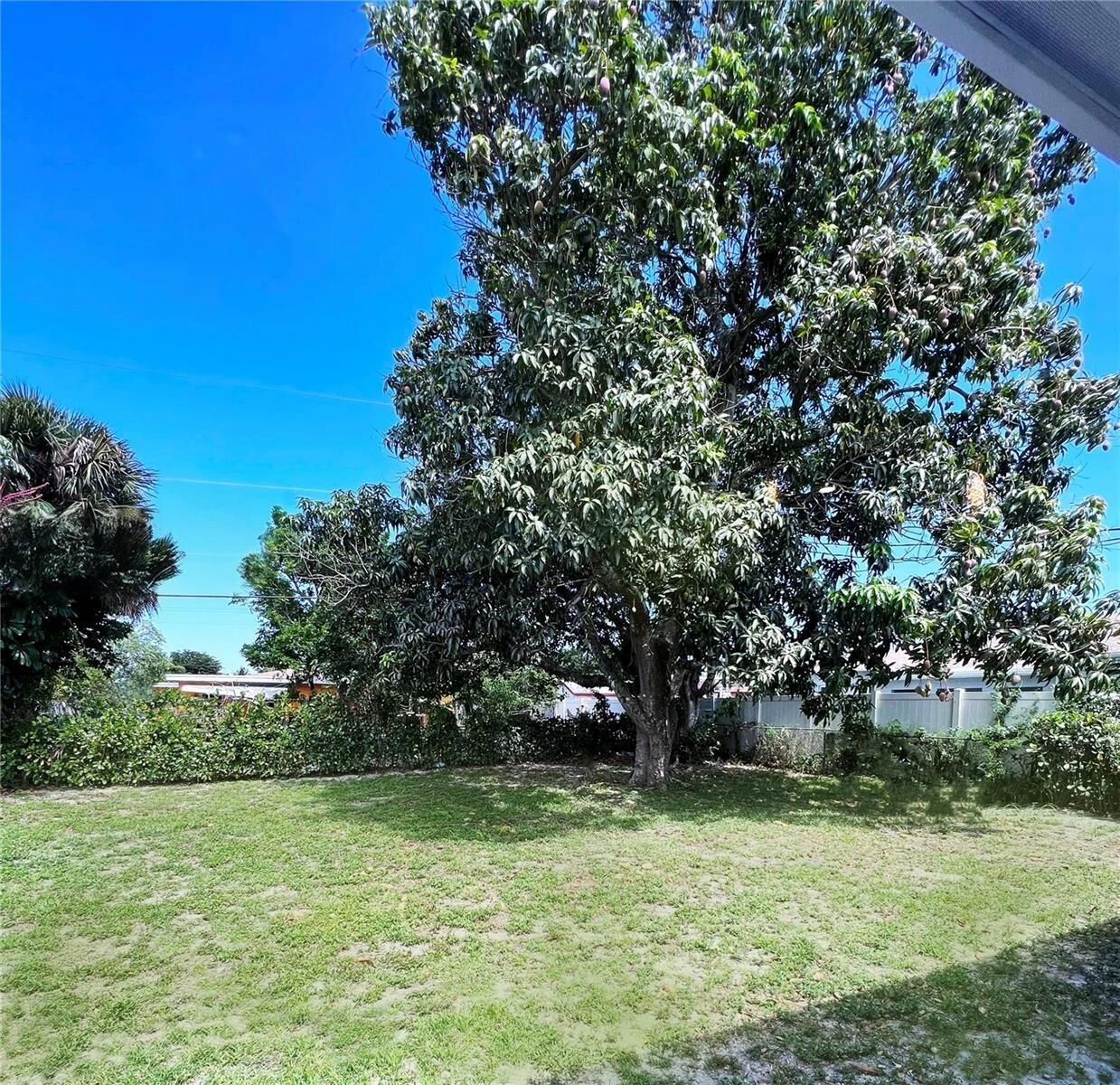 730 Alabama Avenue Property Photo 50