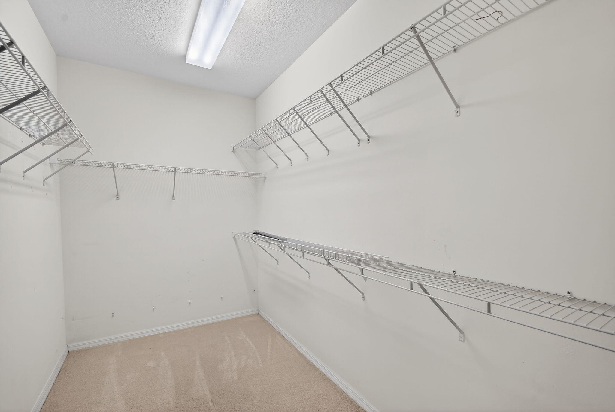 9599 Campi Drive Property Photo 53