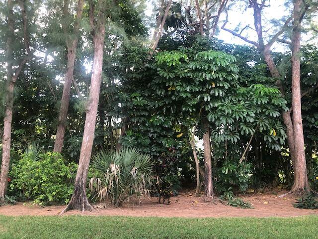 1262 Sugar Sands Boulevard Property Photo 16