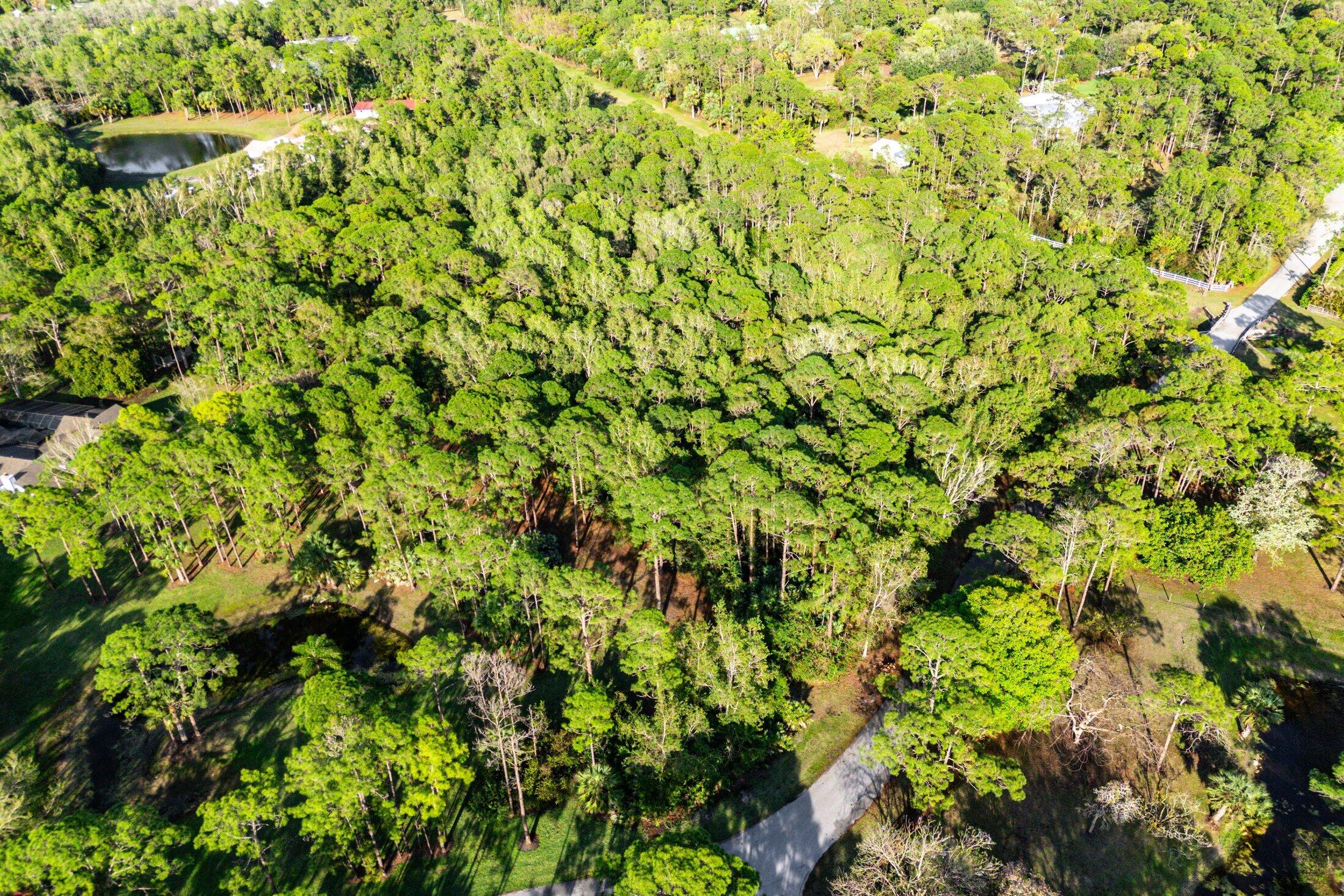 00000 Mallard Creek Drive Property Photo 1
