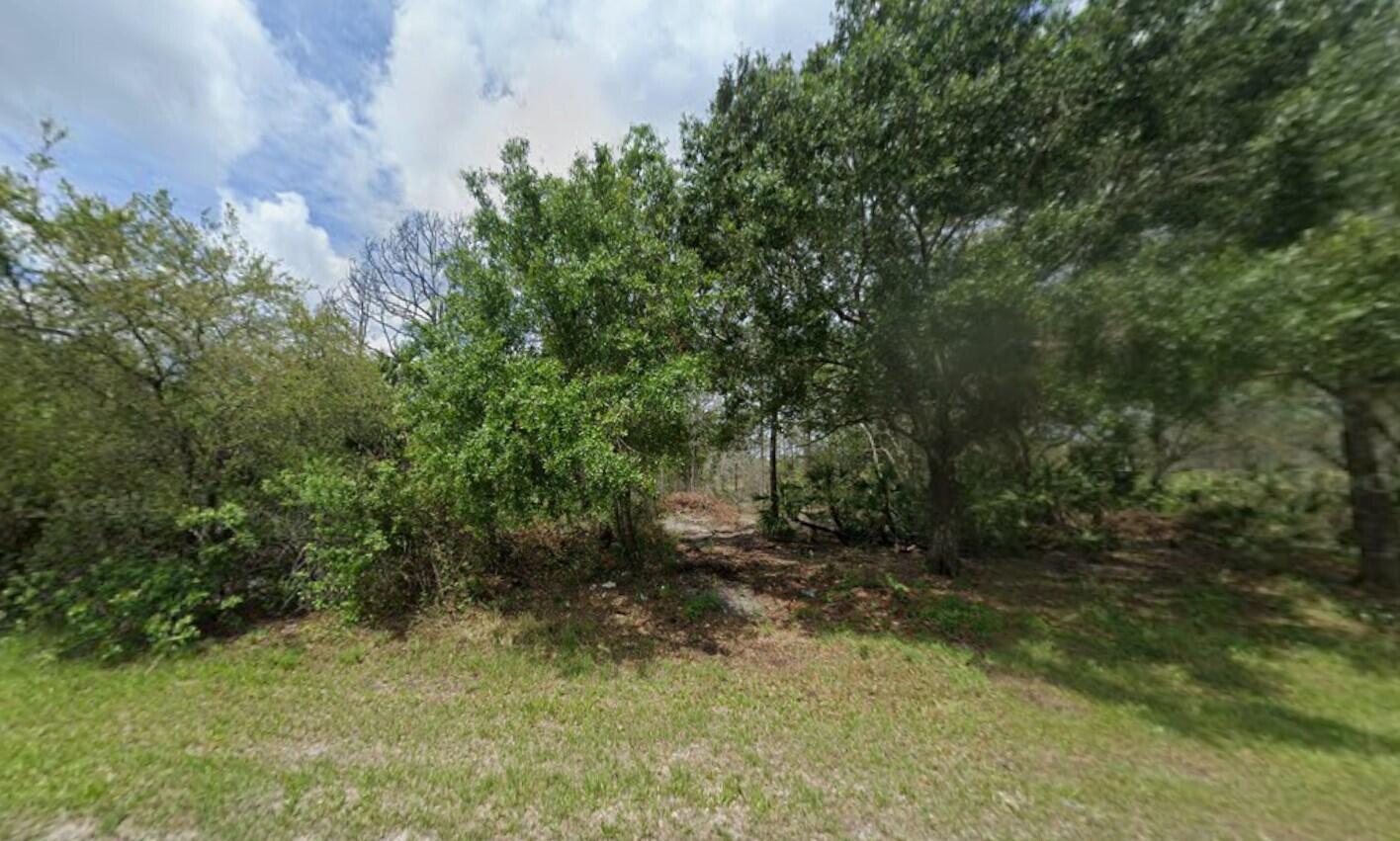 869 Appaloosa Avenue Property Photo 1