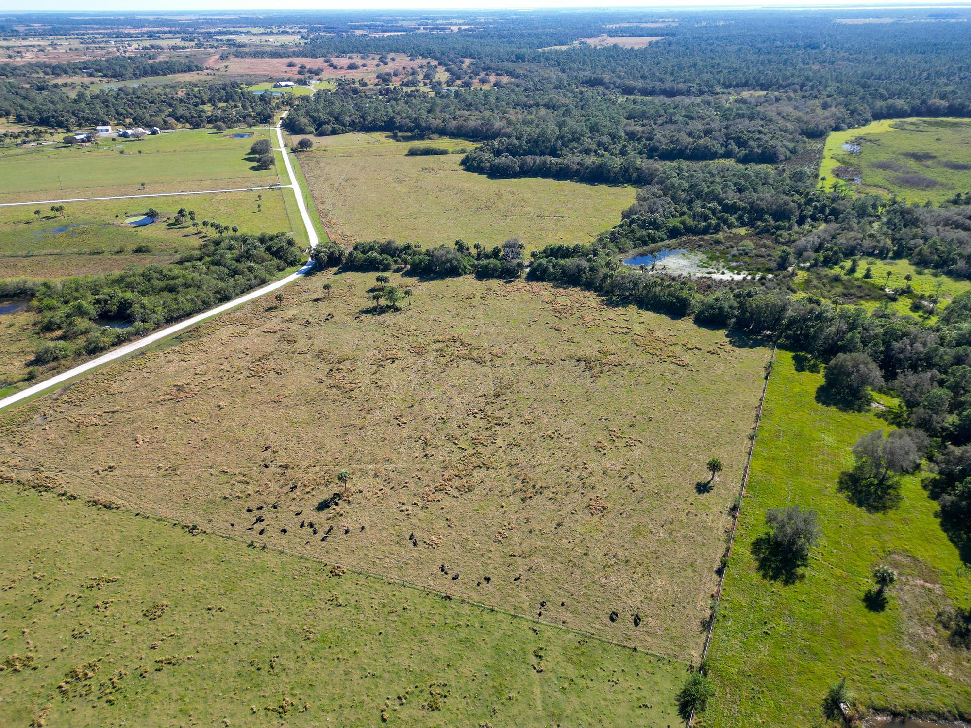3702 Sw Wild Turkey Lane Property Photo 11