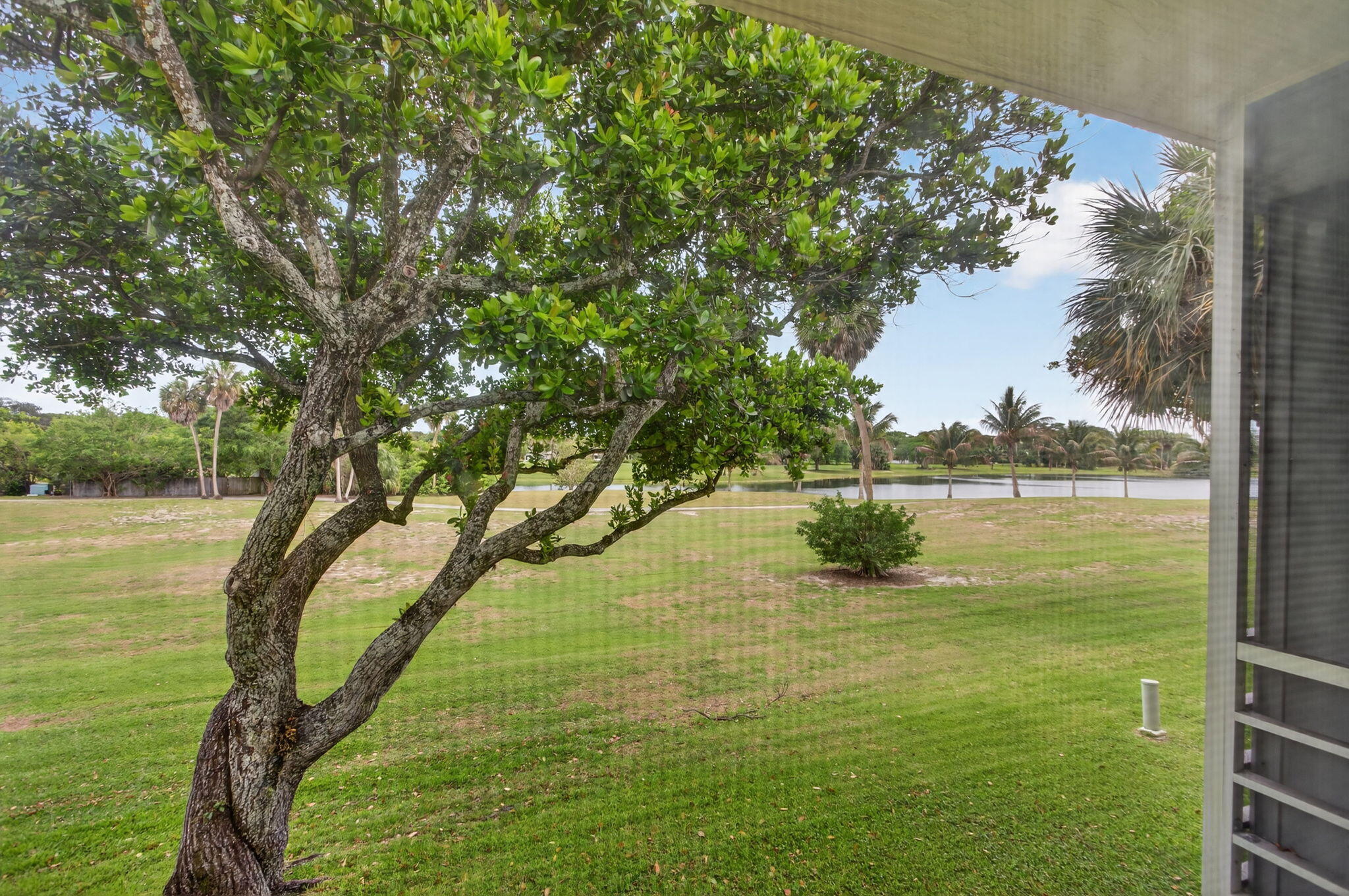 800 Cypress Boulevard 204a Property Photo 24