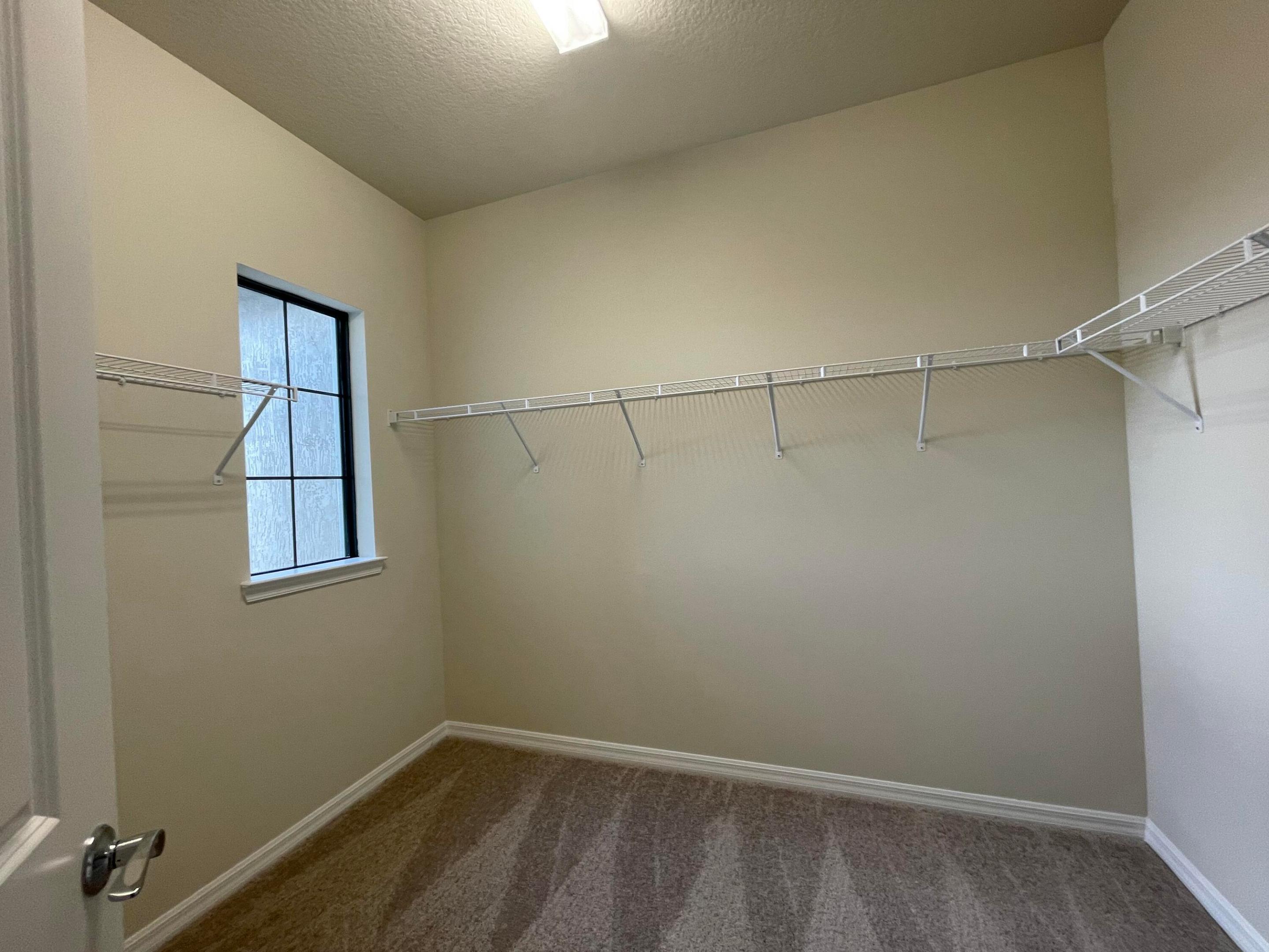 8191 Cinch Way Property Photo 15