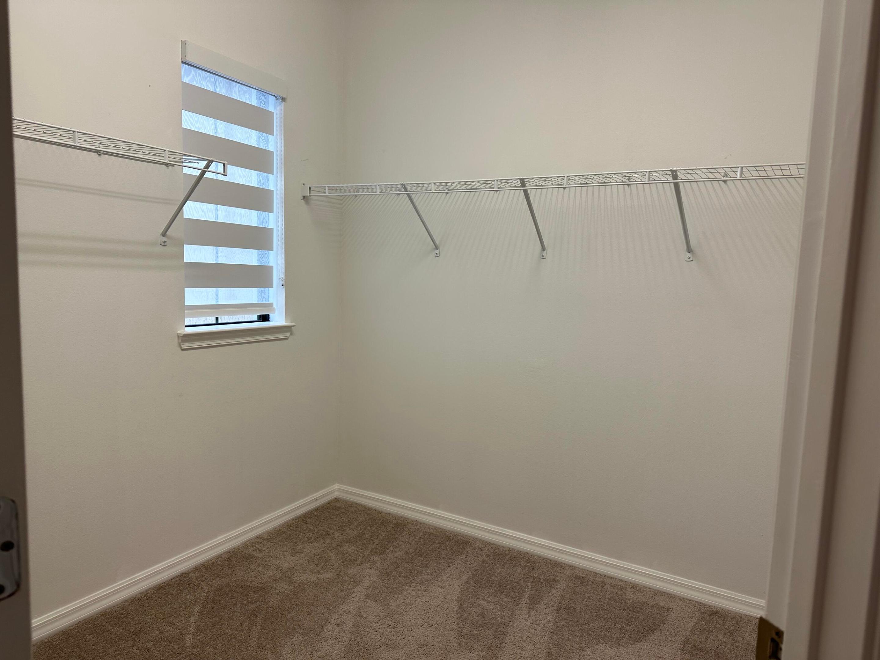 8191 Cinch Way Property Photo 16