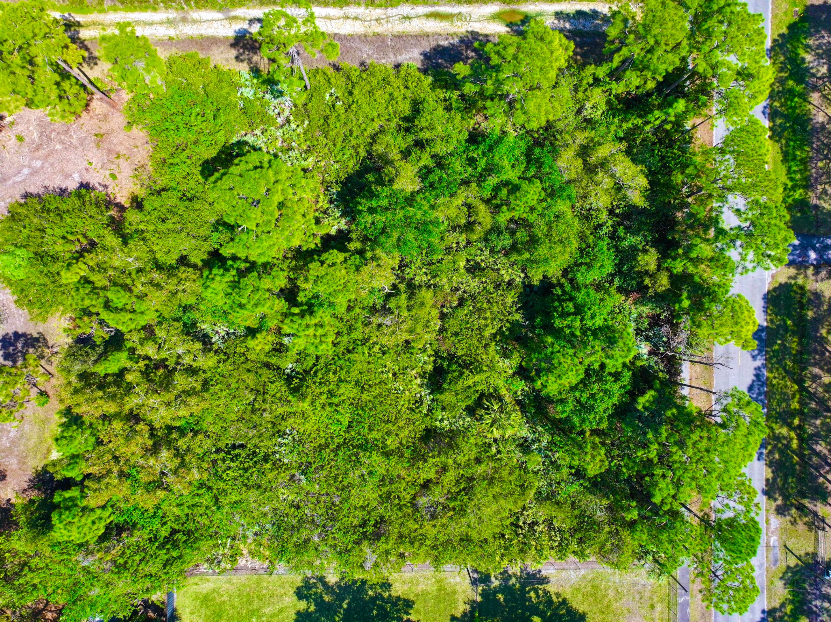 17771 Key Lime Boulevard Property Photo 3