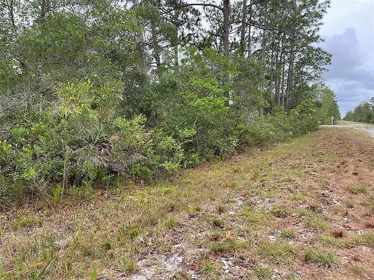 0 Bougainvillea Drive Property Photo 1