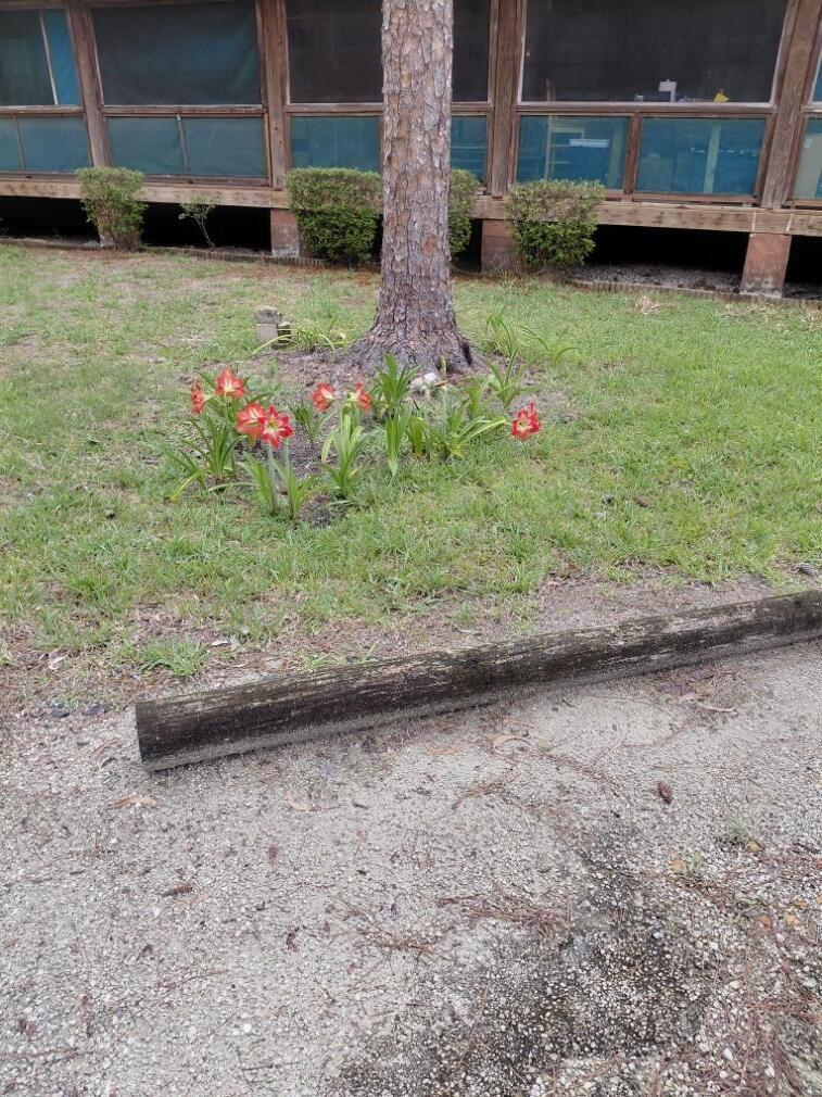11615 Sunset Boulevard Property Photo 15