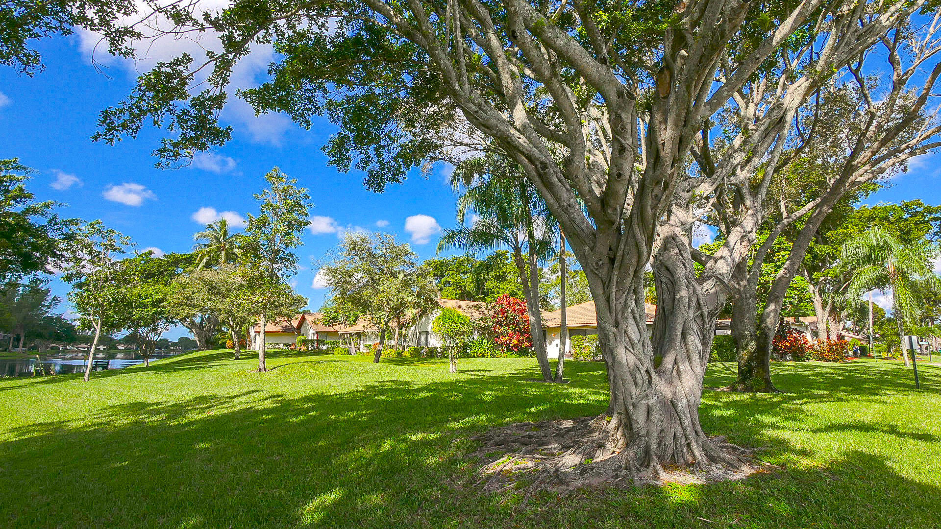 3425 Lime Hill Road 169 Property Photo 40